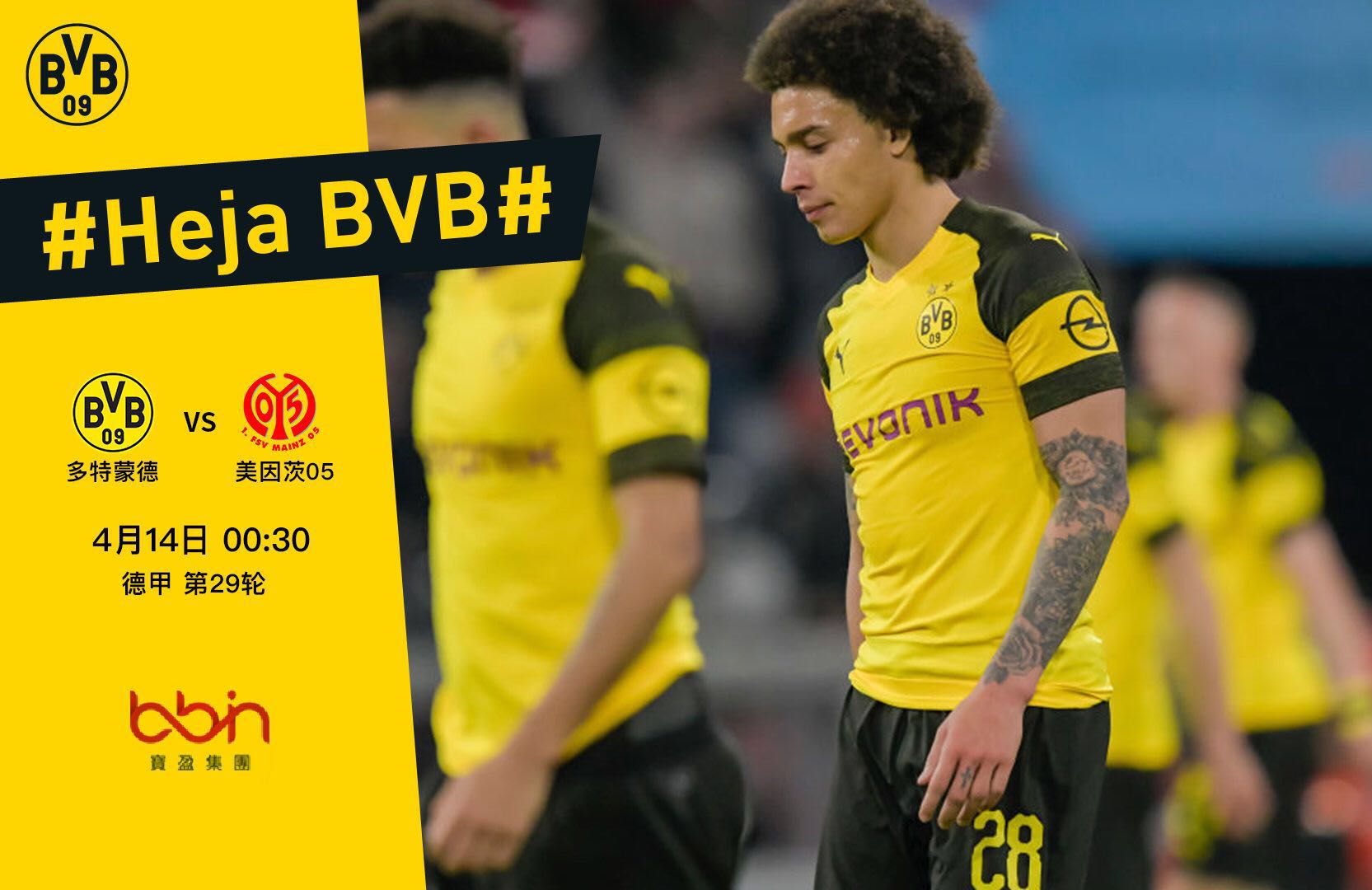 选个编号告 选个编号告